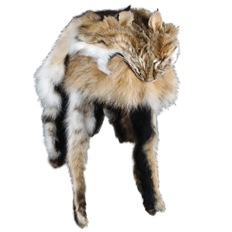 cozy fur hats for winterNorthern Bobcat Mountain Man Fur Hat